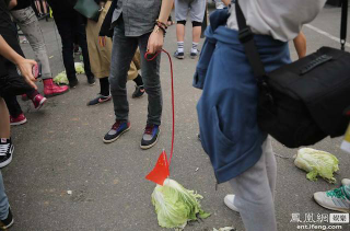 Illustration for article titled No, China's Depressed Youth Do Not Keep Cabbages As Pets